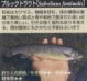 ubNgEgʐ^